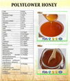 100% Bulk Pure Organic Polyflower Honey  5