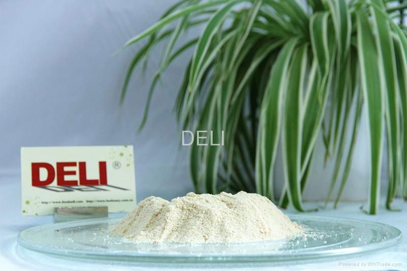 DELI Best Quality Honey Manufacturer Price Frozen Dried Bulk Honey Powder  3