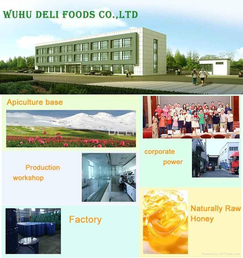 DELI Best Quality Honey Manufacturer Price Frozen Dried Bulk Honey Powder  5