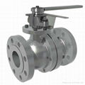 Floating Ball Valve 1