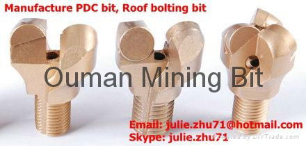 roof bolting bit