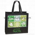 Fashion custom printed recycled NWPP large boutique bag