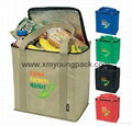 Promotional custom non woven reusable shopping bag