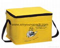 Custom eco-friendly large non woven fabric insulated cooler bag