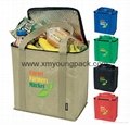 Custom eco-friendly large non woven fabric insulated cooler bag