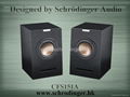 Wooden Bookshelf Loudspeakers