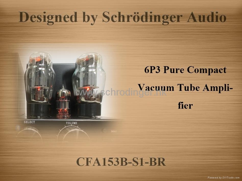 Vacuum Tube Amplifier with Bluetooth Function and FM Radio