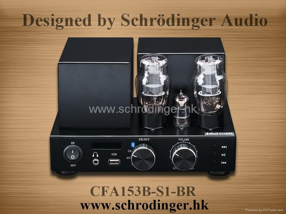 Vacuum Tube Amplifier with Bluetooth Function and FM Radio 2