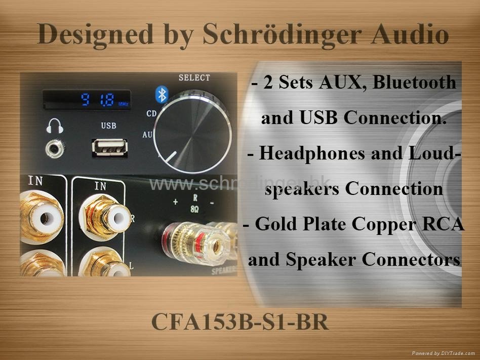 Vacuum Tube Amplifier with Bluetooth Function and FM Radio 5