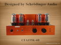 Push Pull Vacuum Tube Amplifier 1