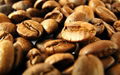 Coffee Beans 1