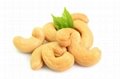 Cashew Nuts 1