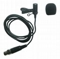 Wireless Microphone 2 Channel Cordless Lapel Mics Remote Dynamic Mic For Sale 2