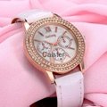 Caister- Fashion Lady's watch  3
