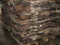 Salted cow hides