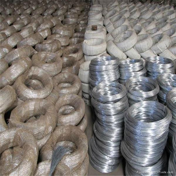 Supplying Galvanized Wire 4