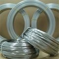 Supplying Galvanized Wire 2