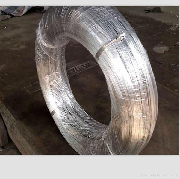 Supplying Galvanized Wire