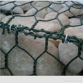 Supplying Gabion Mesh 5