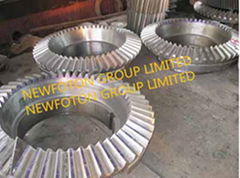 Bevel Gear