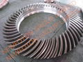 Bevel Gear 2