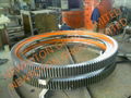 Slew Bearing