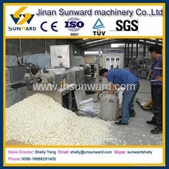 high quality China modified starch machine