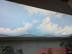 Sell MSD Pvc stretch ceiling film for wall/ceiling