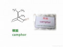 100% Pure Natural Camphor Powder