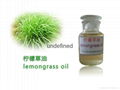 Lemon grass oil