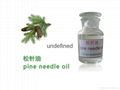 Natural Pine Needle Oil,Pine leaf Oil 1