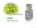 100% Pure And Natural Tea Tree Oil Supplier