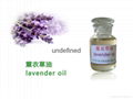  lavender oil 1
