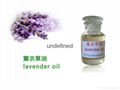 lavender oil