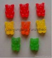 Bear Shape gummy  1