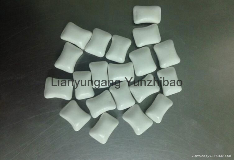 Xylitol sugar free chewing gum  4