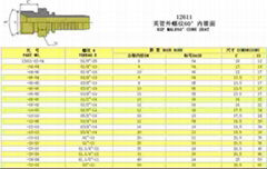 BSP Male60 Cone Seat