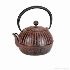 Cast Iron Teapot