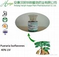 herbal medicine pueraria extract