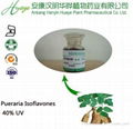 herbal medicine pueraria extract pueraria flavones