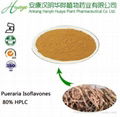 Pueraria flavones from pueraria extract