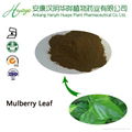herbal medicine Mulberry Leaf Extract