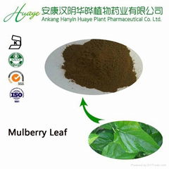 herbal medicine Mulberry Leaf Extract DNJ 1%,2%(1-Deoxynojirimycin)