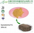 GMP manufacturer supply  Gynostemma extract 1