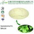 GMP manufacturer supply  Gynostemma extract 2