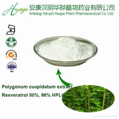 High quality Resveratrol