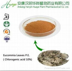 Chlorogenic acid 30% HPLC from Eucommia Leaves extract