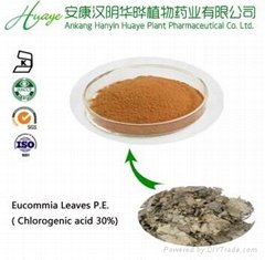 Chlorogenic acid 10% HPLC from Eucommia Leaves extract