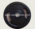 China Gym Barbell Plates Manufacturer