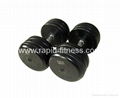 China Gym Weight Bench Part  Rubber Dumbbell